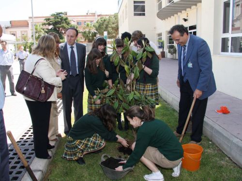 Las niñas del colegio de La Purísima plantando árbol