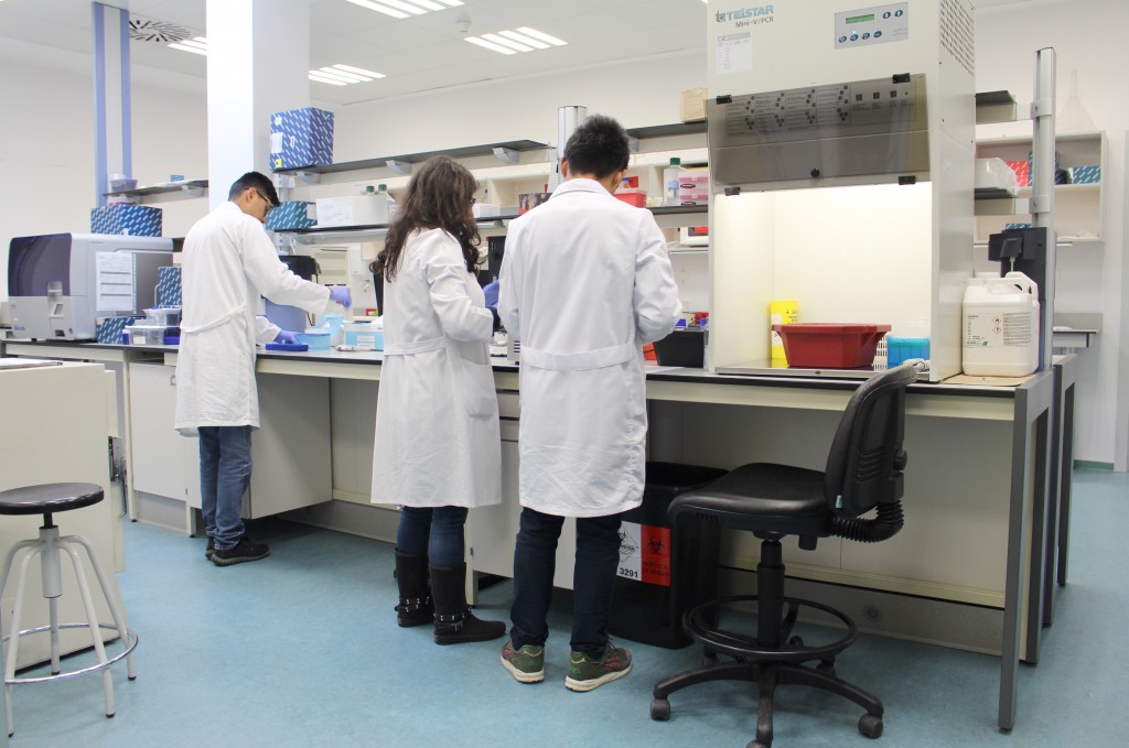 2017 investigadores laboratorio Onco