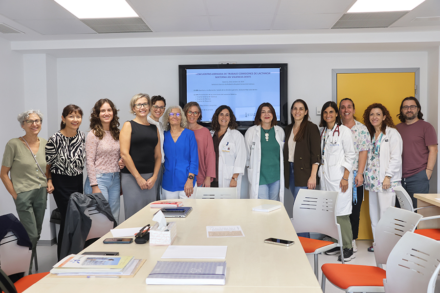 Jornada de trabajo Comisiones de Lactancia Materna de la ASI Valencia-Oeste