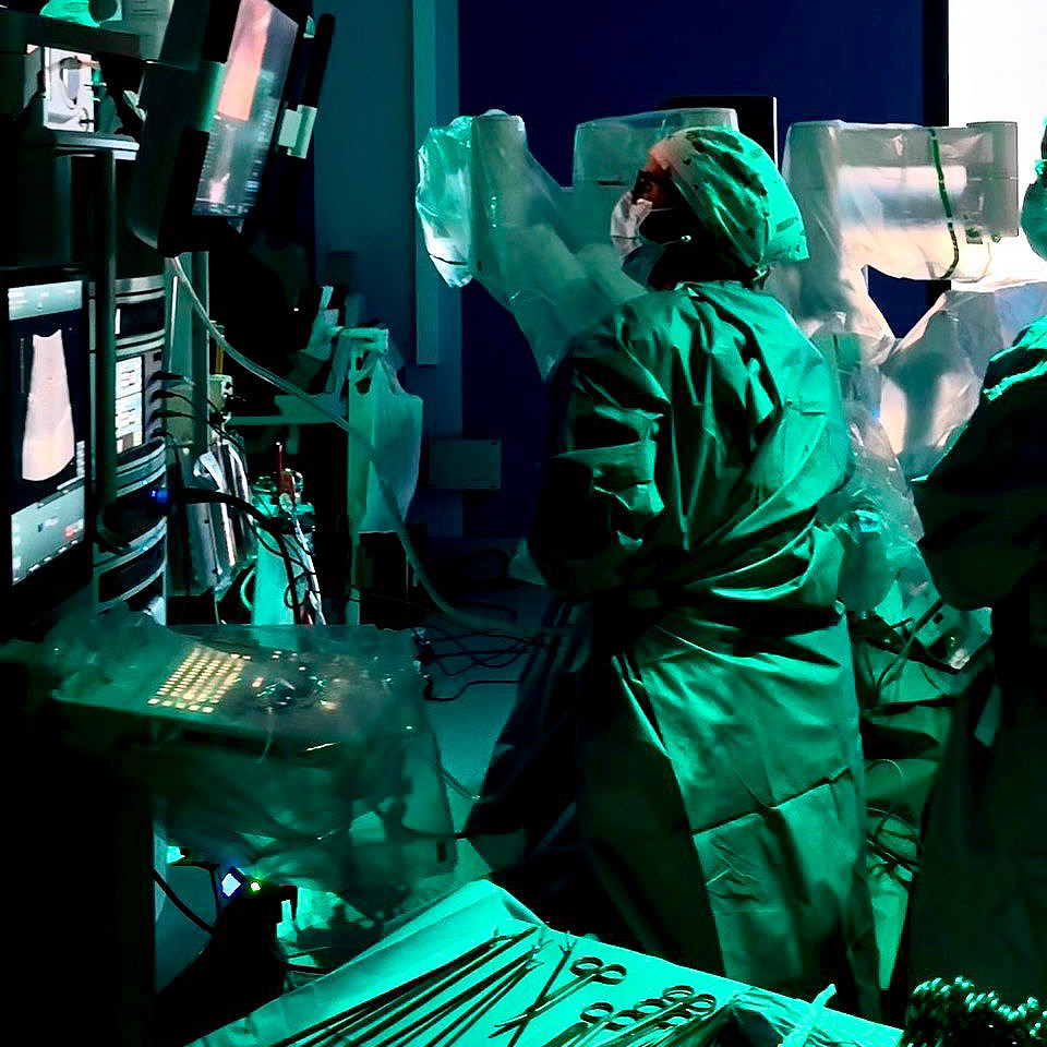 X Curso de Cirugía Hepática Avanzada centrado en la ablación por microondas en cirugía robótica